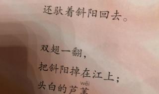 现代短诗四年级 现代短诗四年级