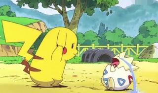 种子是什么意思 种子是什么意思